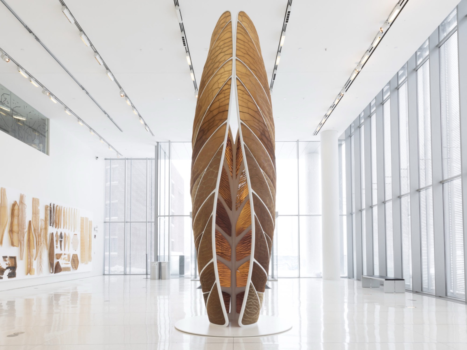 O pavilhão Aguahoja, uma escultura alta de compósitos de biopolímeros que lembra asas de cigarra dobradas, instalada em uma galeria de museu