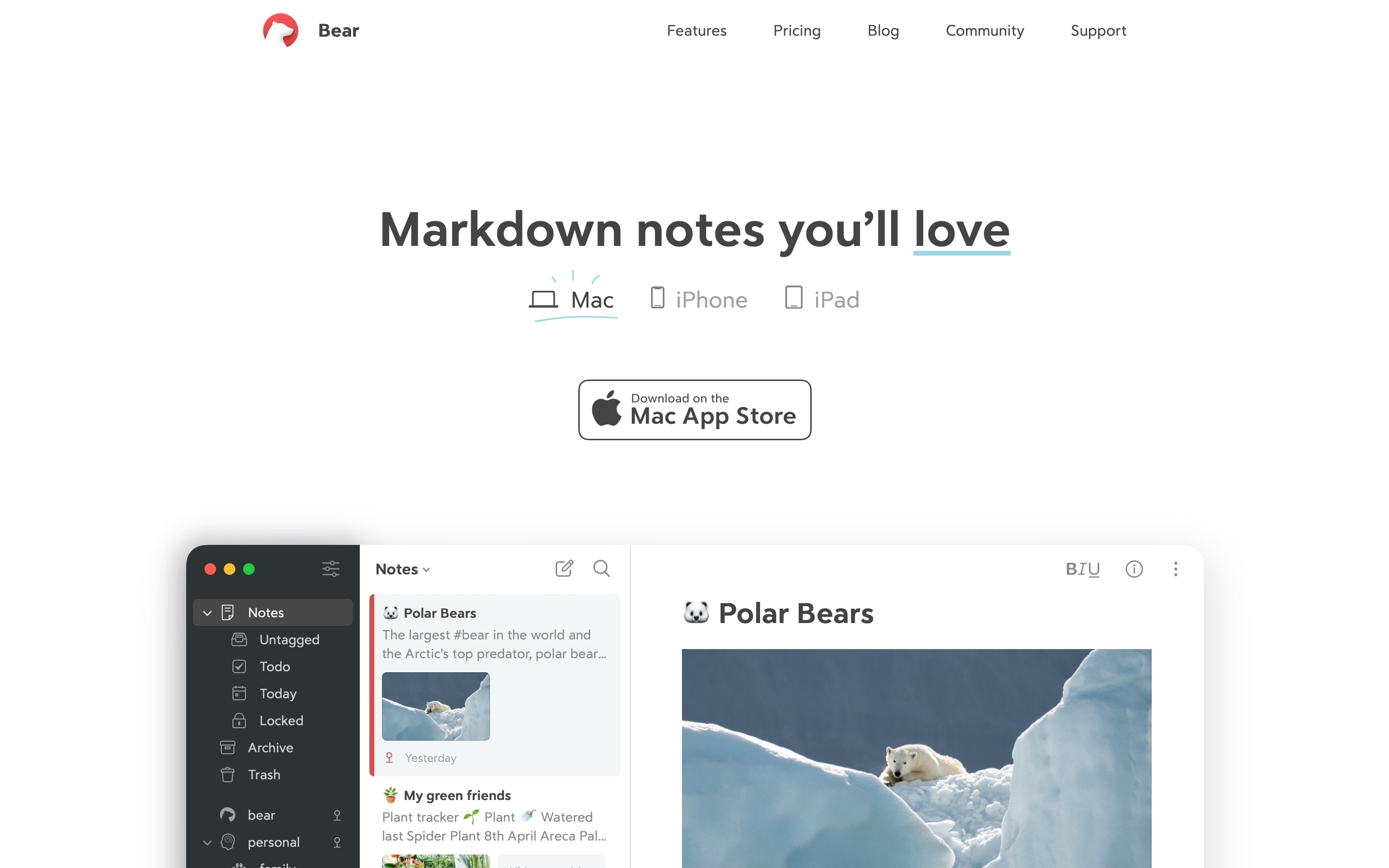 Bear: Typography-First Writing screenshot