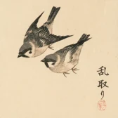 Sparrows