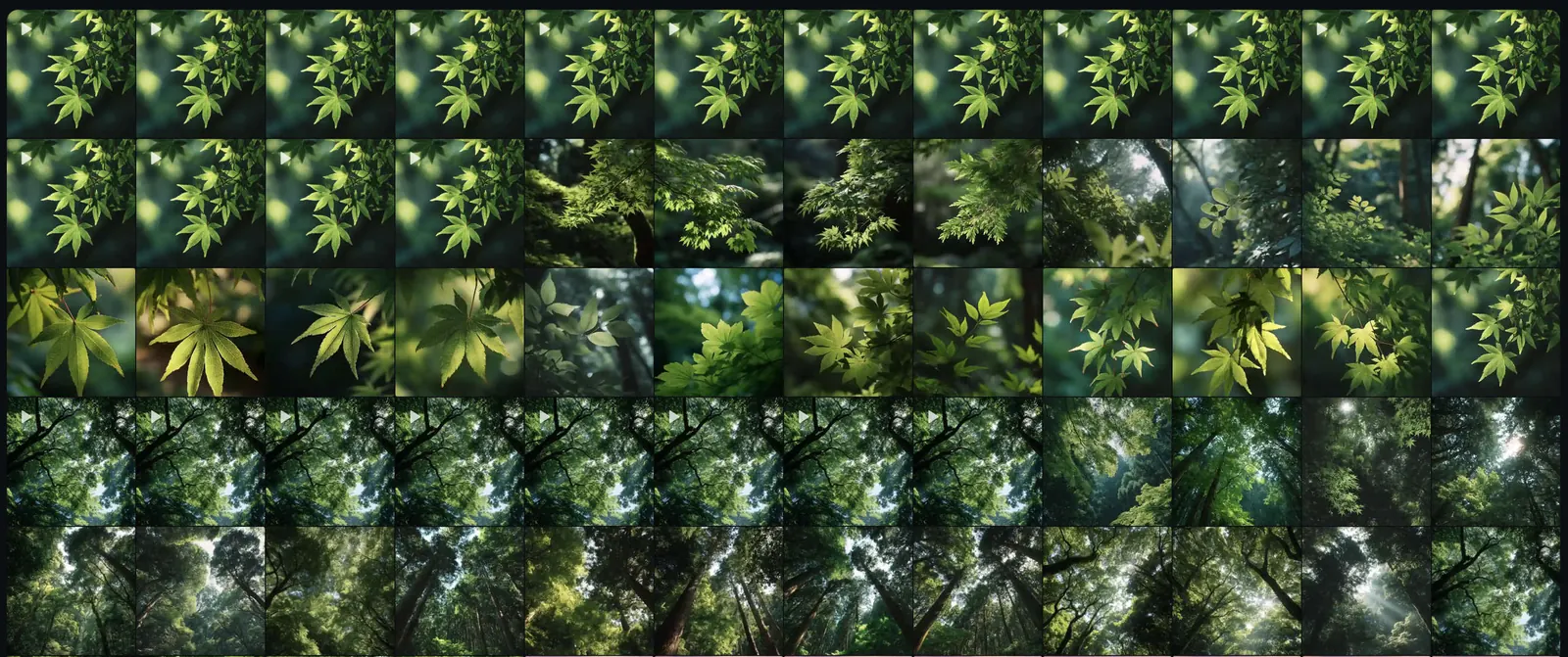 Midjourney contact sheet: tree canopy and leaf variations